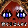 爱逛卖家版 